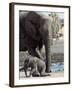 African Elephant Female Helping Baby (Loxodonta Africana) Etosha National Park, Namibia-Tony Heald-Framed Photographic Print