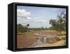 African Elephant Going to the Uaso Nyro River, Samburu National Reserve, Kenya, East Africa, Africa-James Hager-Framed Stretched Canvas