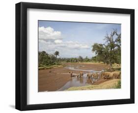 African Elephant Going to the Uaso Nyro River, Samburu National Reserve, Kenya, East Africa, Africa-James Hager-Framed Photographic Print