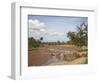 African Elephant Going to the Uaso Nyro River, Samburu National Reserve, Kenya, East Africa, Africa-James Hager-Framed Photographic Print