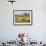 African Elephant Grazing in the Fields, Maasai Mara, Kenya-Joe Restuccia III-Framed Photographic Print displayed on a wall