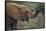 African Elephant Grazing on Tree-DLILLC-Framed Stretched Canvas