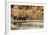 African Elephant Group Drinking at Water-null-Framed Photographic Print