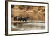 African Elephant Group Drinking at Water-null-Framed Photographic Print