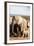 African elephant herd , Addo Elephant Nat'l Park, Eastern Cape, South Africa, Africa-Christian Kober-Framed Photographic Print