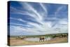 African Elephant Herd at Hapoor Waterhole-Alan J. S. Weaving-Stretched Canvas