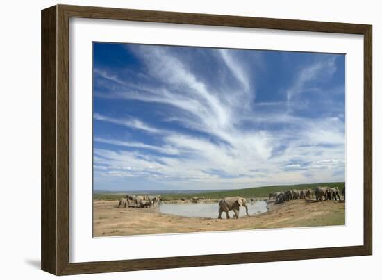 African Elephant Herd at Hapoor Waterhole-Alan J. S. Weaving-Framed Photographic Print