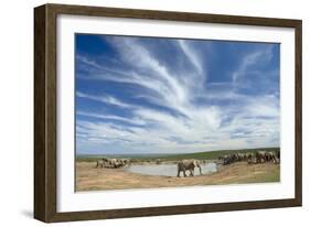 African Elephant Herd at Hapoor Waterhole-Alan J. S. Weaving-Framed Photographic Print