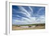 African Elephant Herd at Hapoor Waterhole-Alan J. S. Weaving-Framed Photographic Print