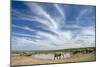 African Elephant Herd at Hapoor Waterhole-Alan J. S. Weaving-Mounted Photographic Print