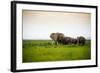 African Elephant Herd at Sunset in Amboseli National Park, Kenya-Santosh Saligram-Framed Photographic Print