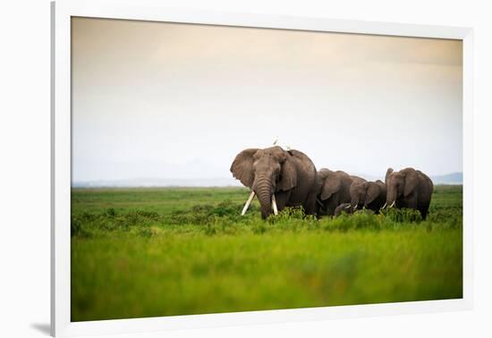 African Elephant Herd at Sunset in Amboseli National Park, Kenya-Santosh Saligram-Framed Photographic Print