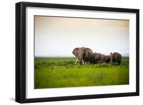 African Elephant Herd at Sunset in Amboseli National Park, Kenya-Santosh Saligram-Framed Photographic Print