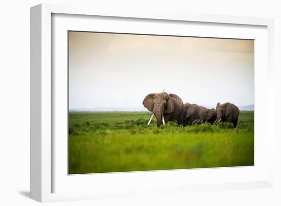 African Elephant Herd at Sunset in Amboseli National Park, Kenya-Santosh Saligram-Framed Photographic Print