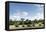 African Elephant Herd, Chobe National Park, Botswana-Paul Souders-Framed Stretched Canvas