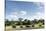 African Elephant Herd, Chobe National Park, Botswana-Paul Souders-Stretched Canvas