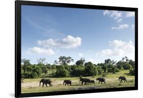 African Elephant Herd, Chobe National Park, Botswana-Paul Souders-Framed Photographic Print