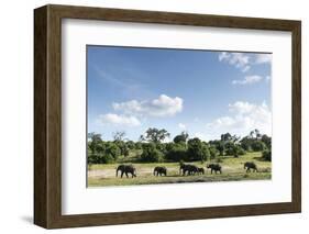 African Elephant Herd, Chobe National Park, Botswana-Paul Souders-Framed Photographic Print