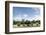 African Elephant Herd, Chobe National Park, Botswana-Paul Souders-Framed Photographic Print