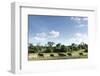 African Elephant Herd, Chobe National Park, Botswana-Paul Souders-Framed Photographic Print