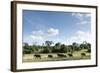 African Elephant Herd, Chobe National Park, Botswana-Paul Souders-Framed Photographic Print