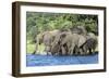 African Elephant Herd, Chobe National Park, Botswana-Paul Souders-Framed Photographic Print