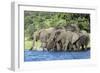 African Elephant Herd, Chobe National Park, Botswana-Paul Souders-Framed Photographic Print