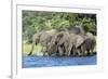 African Elephant Herd, Chobe National Park, Botswana-Paul Souders-Framed Photographic Print