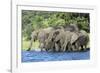 African Elephant Herd, Chobe National Park, Botswana-Paul Souders-Framed Photographic Print