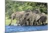 African Elephant Herd, Chobe National Park, Botswana-Paul Souders-Mounted Photographic Print