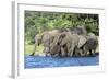 African Elephant Herd, Chobe National Park, Botswana-Paul Souders-Framed Photographic Print