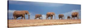 African Elephant Herd in Kenya-null-Stretched Canvas