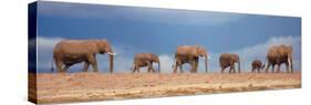 African Elephant Herd in Kenya-null-Stretched Canvas