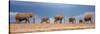 African Elephant Herd in Kenya-null-Stretched Canvas