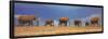 African Elephant Herd, Kenya-null-Framed Poster