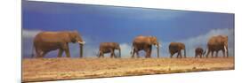 African Elephant Herd, Kenya-null-Mounted Poster