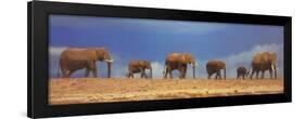 African Elephant Herd, Kenya-null-Framed Poster