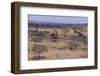 African Elephant Herd Walking in Savanna-DLILLC-Framed Photographic Print