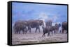 African Elephant Herd Walking-DLILLC-Framed Stretched Canvas