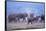 African Elephant Herd Walking-DLILLC-Framed Stretched Canvas