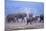 African Elephant Herd Walking-DLILLC-Mounted Photographic Print