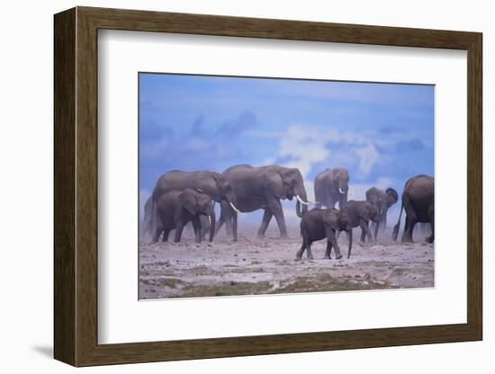 African Elephant Herd Walking-DLILLC-Framed Photographic Print