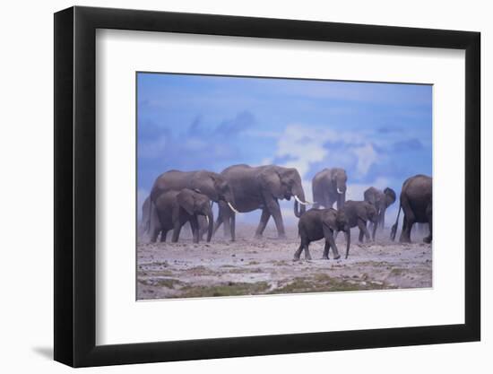 African Elephant Herd Walking-DLILLC-Framed Photographic Print