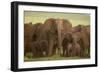 African Elephant Herd with Young-DLILLC-Framed Photographic Print