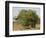 African elephant hidden behind a bush, South Africa-Staffan Widstrand-Framed Photographic Print