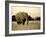 African Elephant in Amboseli National Park, Kenya-Santosh Saligram-Framed Photographic Print