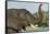 African Elephant in Chobe River, Chobe National Park, Botswana-Paul Souders-Framed Stretched Canvas