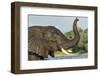 African Elephant in Chobe River, Chobe National Park, Botswana-Paul Souders-Framed Photographic Print