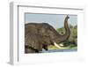 African Elephant in Chobe River, Chobe National Park, Botswana-Paul Souders-Framed Photographic Print