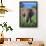 African Elephant in Grass-DLILLC-Framed Photographic Print displayed on a wall